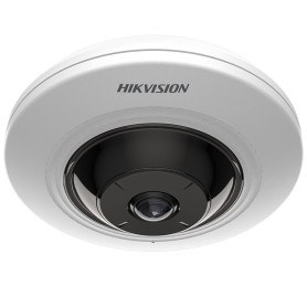 Caméra fisheye Hikvision DS-2CD2955G0-ISU