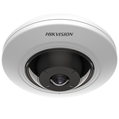 Caméra fisheye Hikvision DS-2CD2955G0-ISU