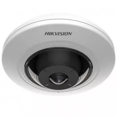 Caméra fisheye 180° 5MP H265+ Hikvision DS-2CD3956G2-ISU vision nocturne jusqu'à 8 mètres