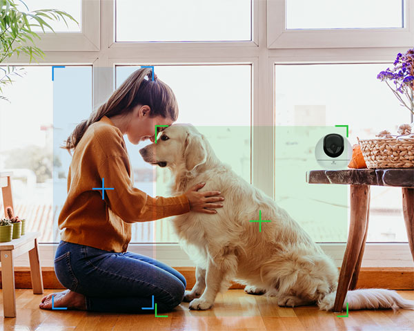 EZVIZ C6 notification animal