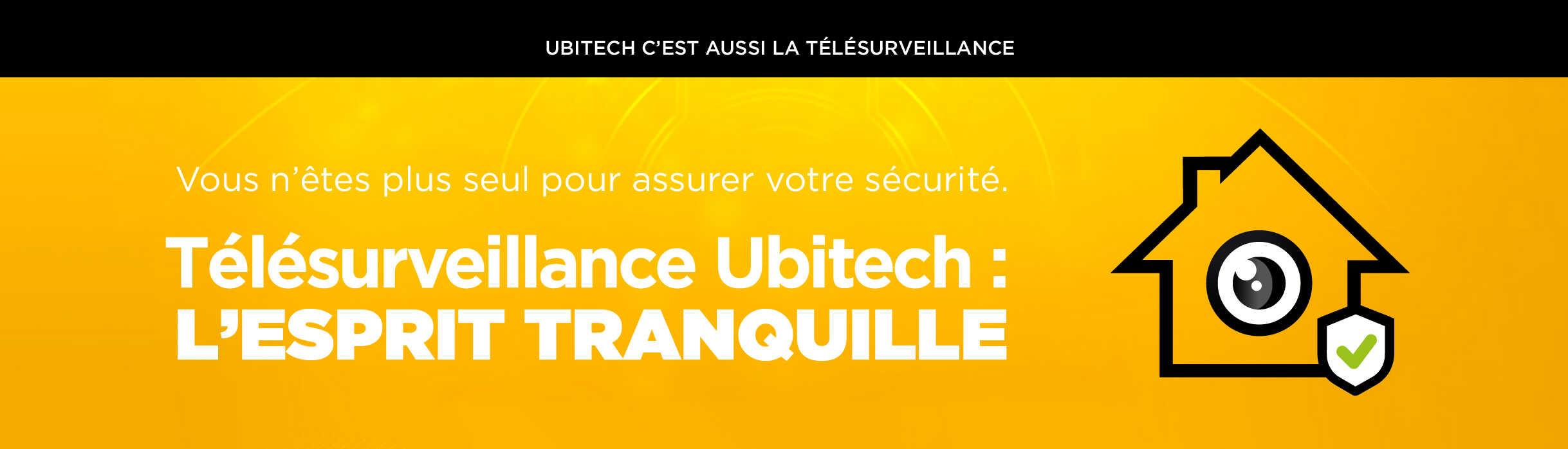Télésurveillance